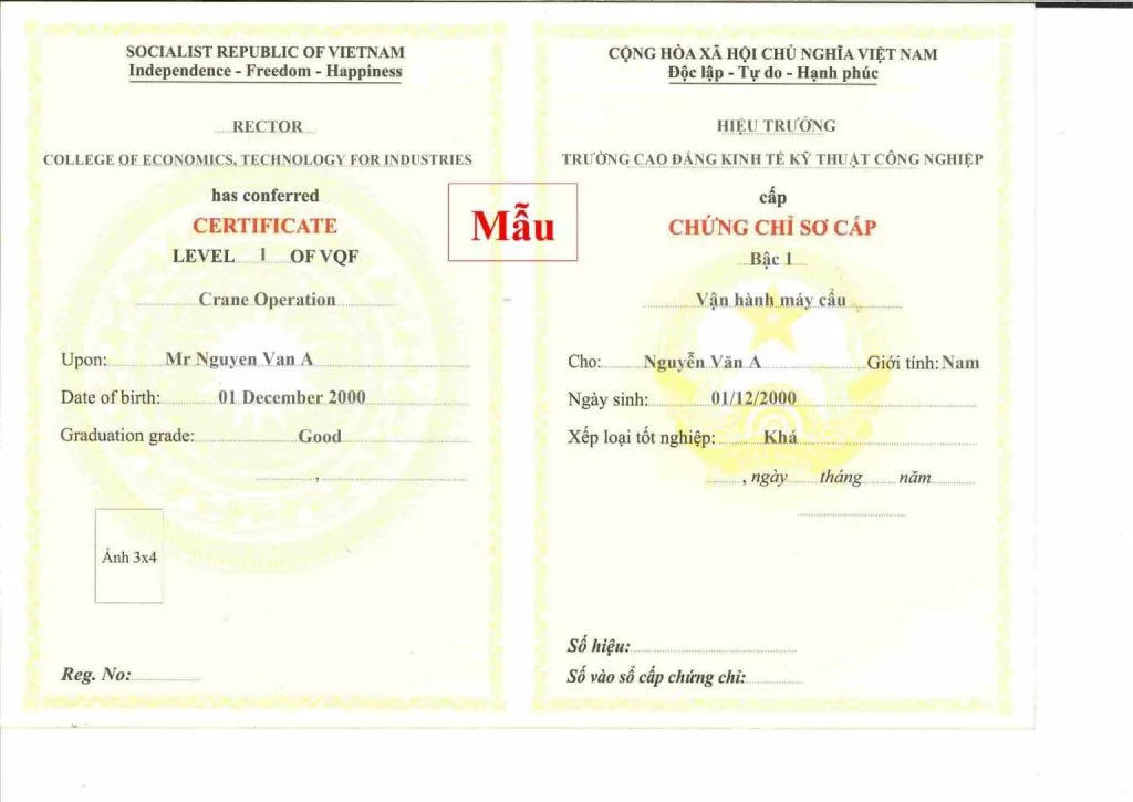Chứng chỉ vận hành máy cẩu