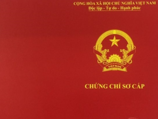 Chứng chỉ sơ cấp vận tải