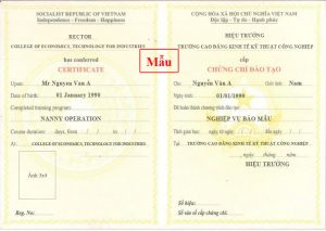 Mẫu chứng chỉ
