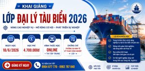 Khóa Học Đại Lý Tàu Biển 2026