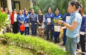 Chứng Chỉ Kỹ Thuật Trồng Và Chăm Sóc Cây Cảnh 2026