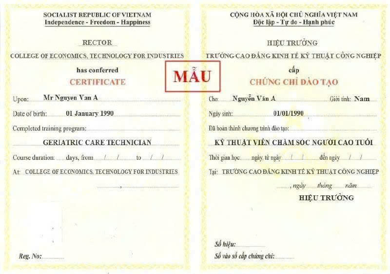 Khóa Học Kỹ Thuật Viên Chăm Sóc Người Cao Tuổi 2026