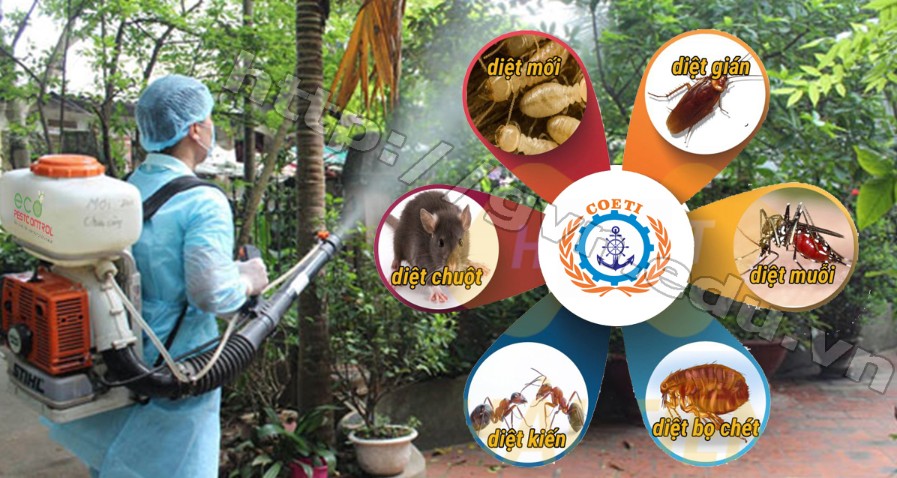 Khóa Học Phòng Chống Mối Mọt 2026